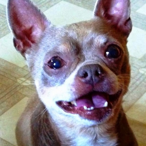 Meet your Posher, Jenise - Picture 1 of 1